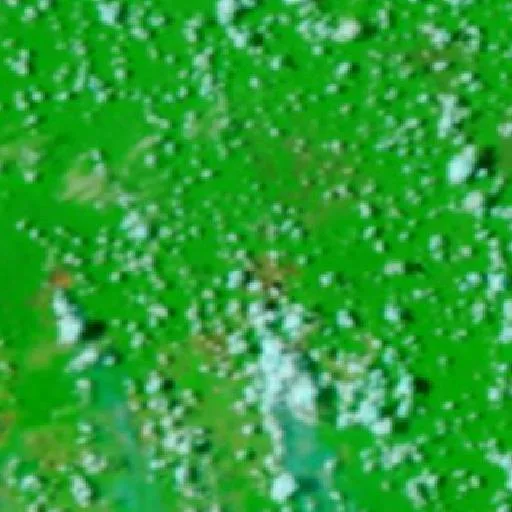 Incendio cerca de Lábrea (5 oct) — NASA satellite
