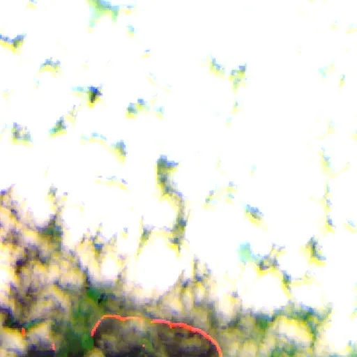 Wildfire near Lago Grande (Sep 29) — Sentinel-2 SWIR (fuego)