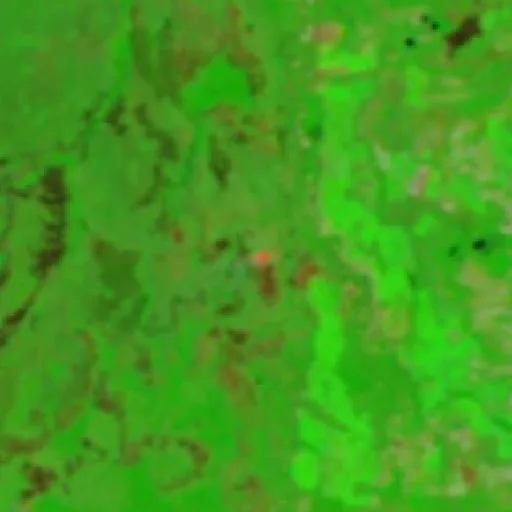 Incendio cerca de Lagoa da Confusão (Aug 1 · N) — NASA satellite