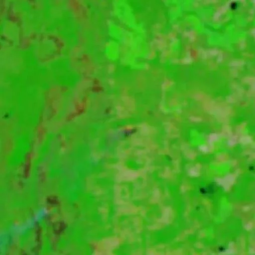Wildfire near Lagoa da Confusão (Aug 1 · S) — NASA satellite