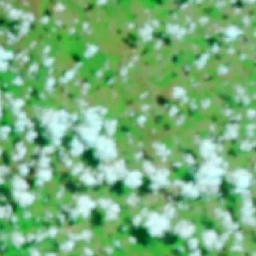 Incendio cerca de Lagoa da Confusão (17 sep) — NASA satellite