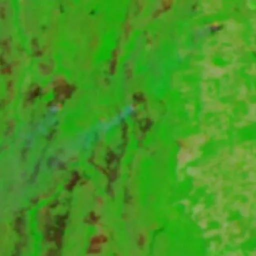 Wildfire near Lagoa da Confusão (Jul 30) — NASA satellite