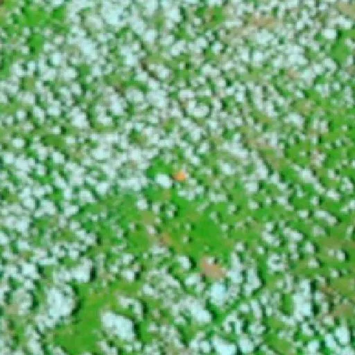 Wildfire near Lagoa do Mato (Oct 2) — NASA satellite