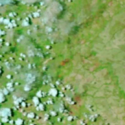 Wildfire near Lagoa do Tocantins — NASA satellite