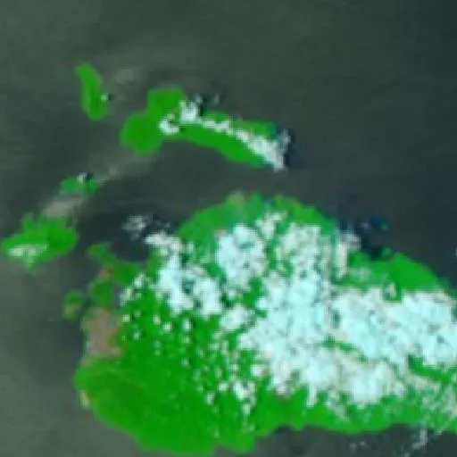 Wildfire near Laiwui — NASA satellite
