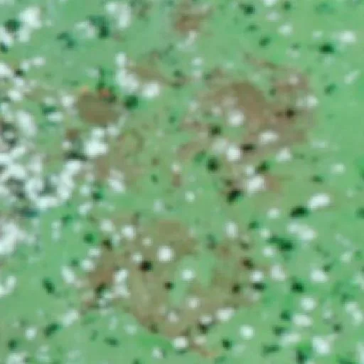 Incendio cerca de Lajamanu — NASA satellite