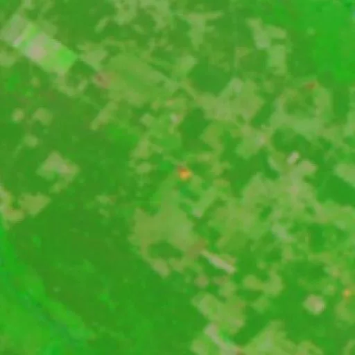 Wildfire near Las Lomitas — NASA satellite