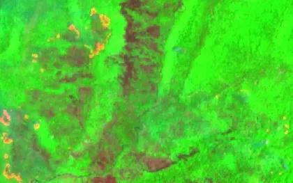 Wildfire near Palangka Raya, Indonesia (2026) — Map & Containment