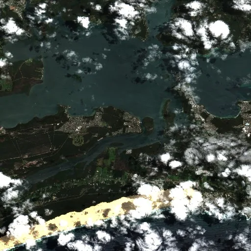 Lemon Tree Passage Bushfire (undated) — Sentinel-2 true color