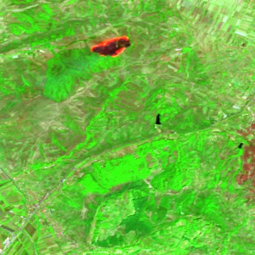 Wildfire near Levan — Sentinel-2 SWIR (fuego)
