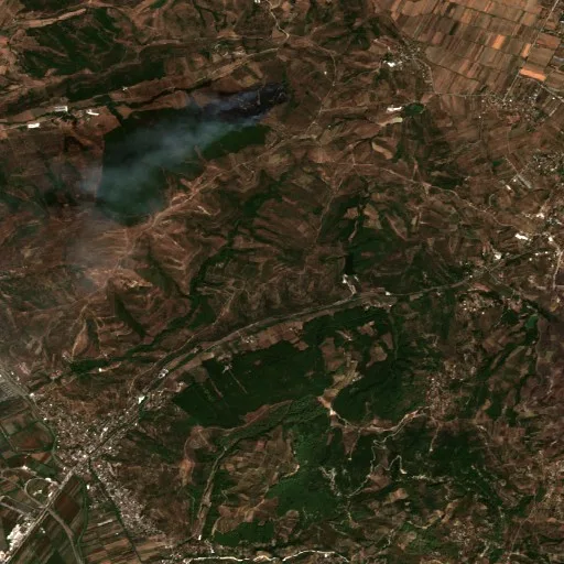 Wildfire near Levan — Sentinel-2 true color
