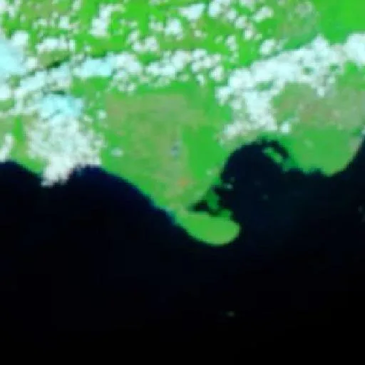 Wildfire near Lionel Town — NASA satellite