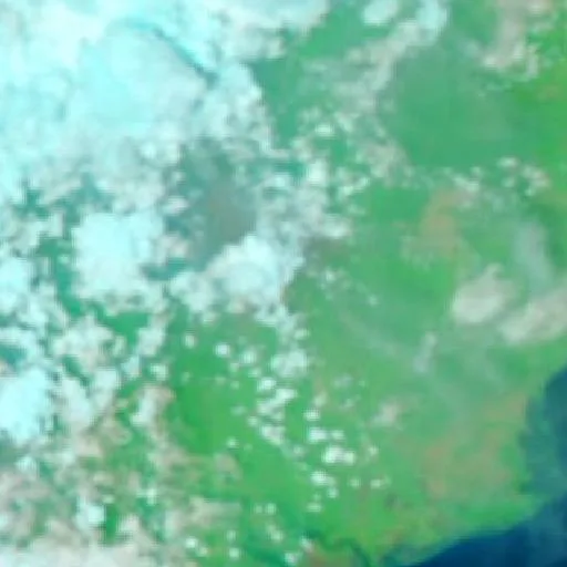 Wildfire near Longkali (Oct 19) — NASA satellite