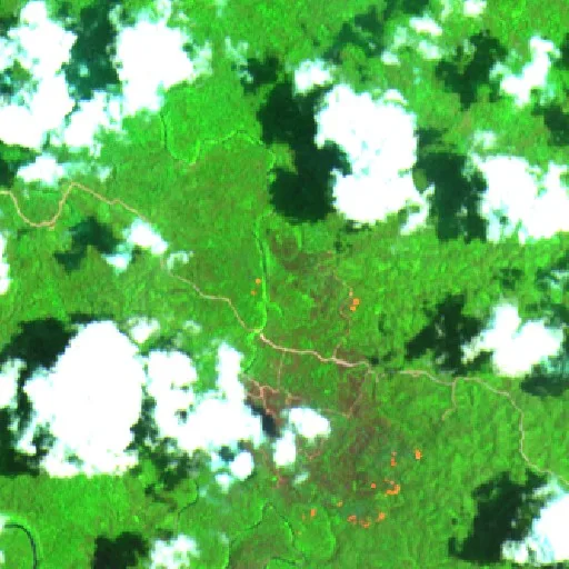 Wildfire near Longkali — Sentinel-2 SWIR (fuego)