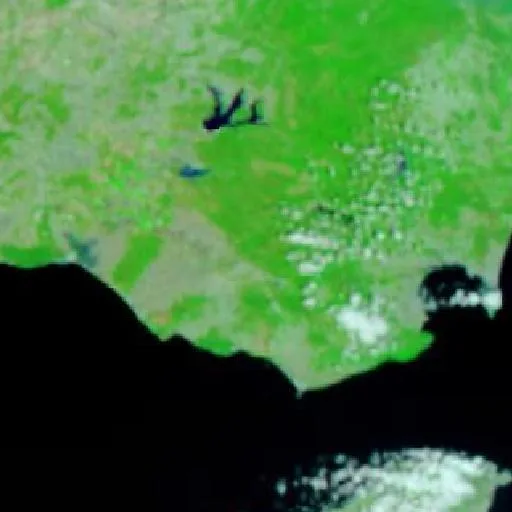 Incendio cerca de Los Barrios — NASA satellite