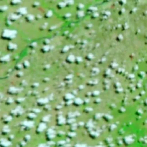 Wildfire near Luislândia — NASA satellite