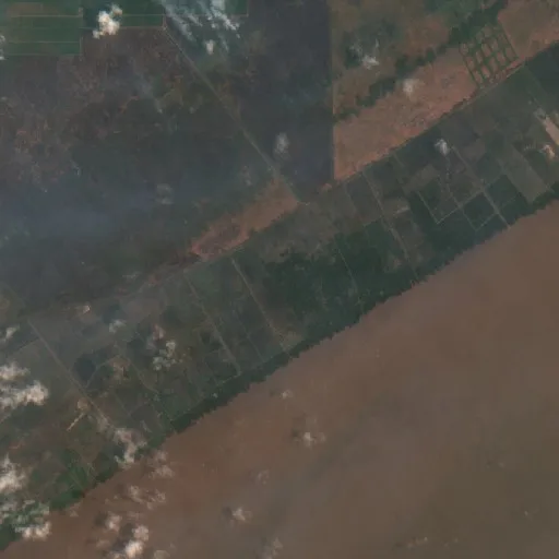 Incendio cerca de Lupak (8 oct) — Sentinel-2 true color