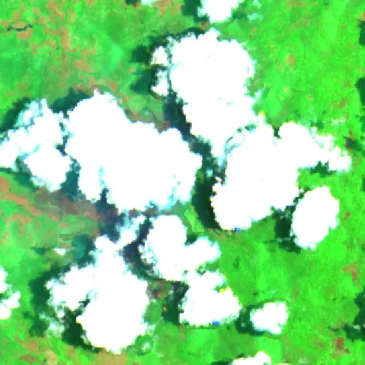 Incendio cerca de Luwu Timur — Sentinel-2 SWIR (fuego)
