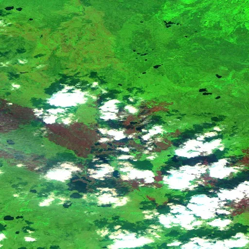 Wildfire near Mackenzie County — Sentinel-2 SWIR (fuego)