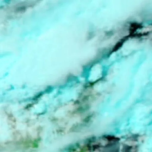 Macleay Island Bushfire — NASA satellite