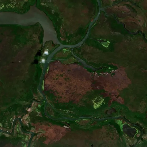 Incendio cerca de Macuspana (2 ago) — Sentinel-2 true color