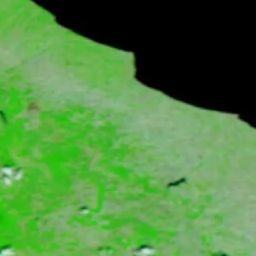 Wildfire near Mafalda — NASA satellite