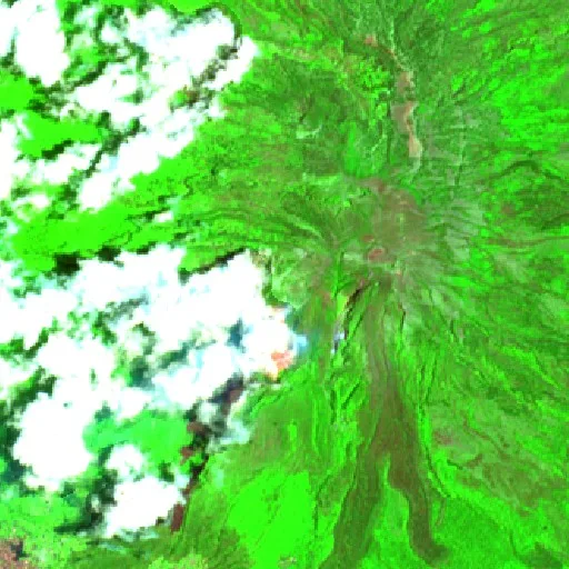 Wildfire near Magetan — Sentinel-2 SWIR (fuego)