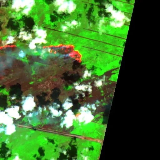 Wildfire near Mahaicony Village — Sentinel-2 SWIR (fuego)