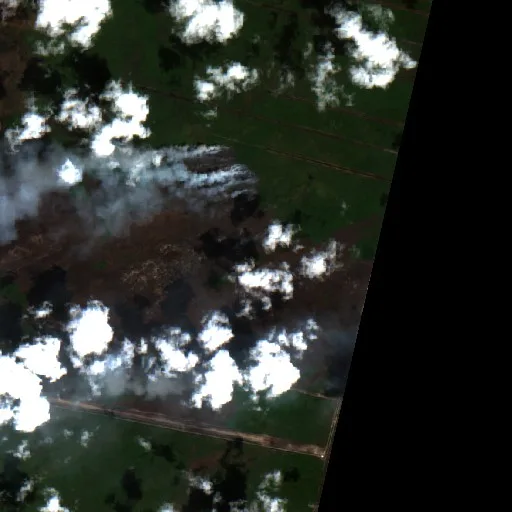 Wildfire near Mahaicony Village — Sentinel-2 true color