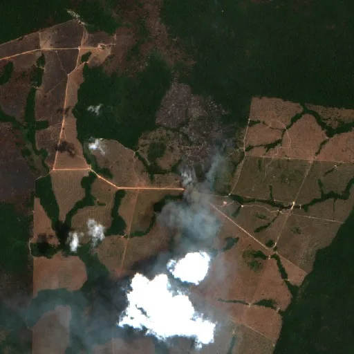 Wildfire near Maloca (Oct 9) — Sentinel-2 true color