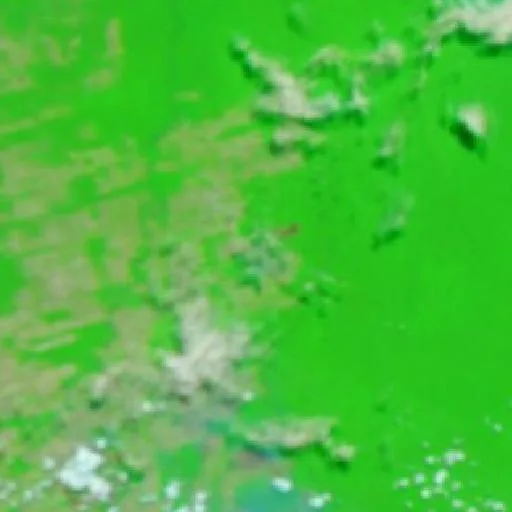 Incendio cerca de Maloca — NASA satellite