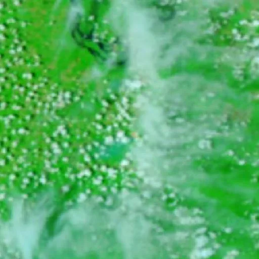 Wildfire near Maloca Velha — NASA satellite