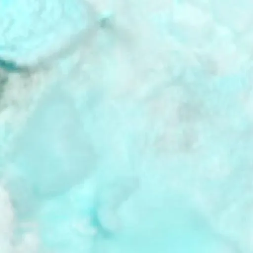 Malpas Trenton Bushfire (Oct 23 · S) — NASA satellite