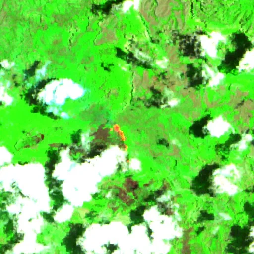 Wildfire near Maluku Barat Daya (Oct 16) — Sentinel-2 SWIR (fuego)