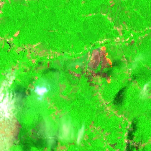 Wildfire near Manacapuru — Sentinel-2 SWIR (fuego)