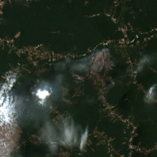 Wildfire near Manacapuru — Sentinel-2 true color