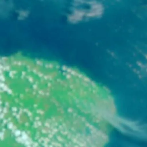 Incendio cerca de Manggar — NASA satellite