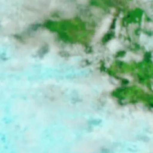 Mannuem Bushfire — NASA satellite