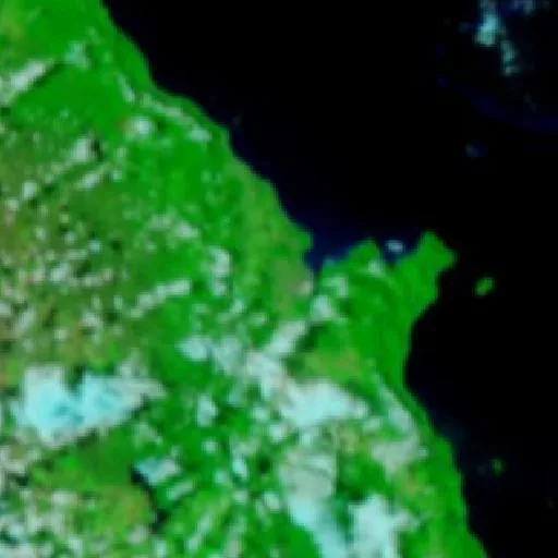 Incendio cerca de Manoora — NASA satellite