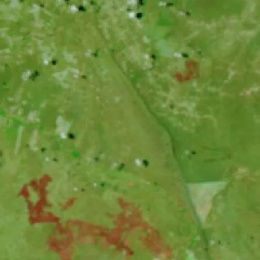 Wildfire near Mansidão (Oct 8) — NASA satellite