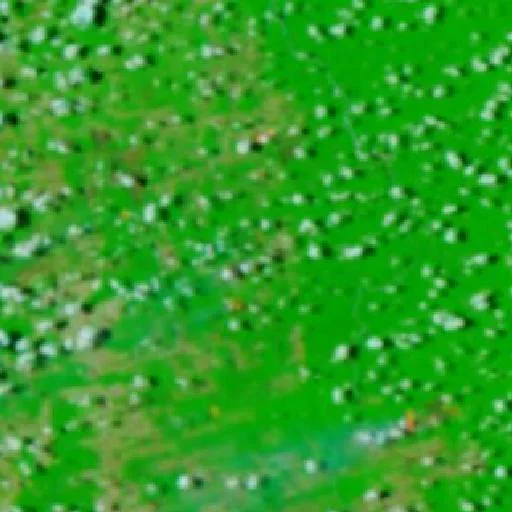 Wildfire near Manuelzinho — NASA satellite