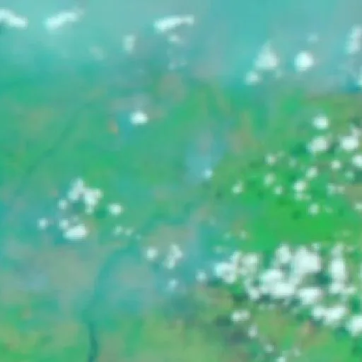 Incendio cerca de Marabahan — NASA satellite
