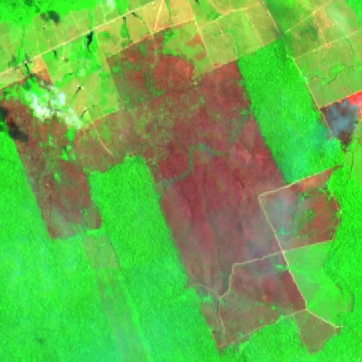 Wildfire near Maracau (Aug 23) — Sentinel-2 SWIR (fuego)