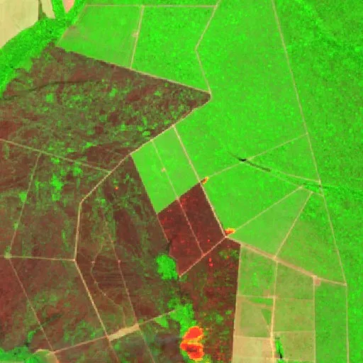 Wildfire near Marcelândia (Aug 17) — Sentinel-2 SWIR (fuego)