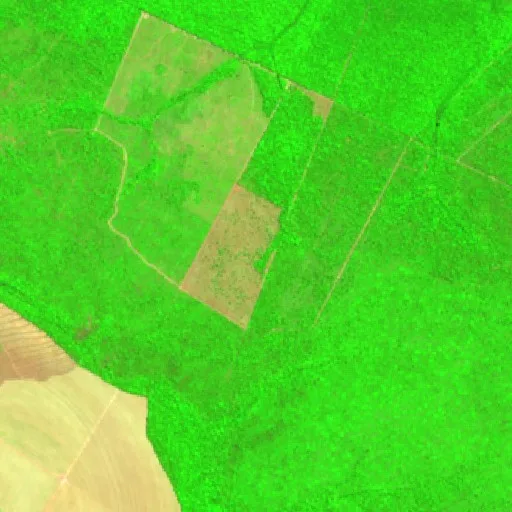 Wildfire near Marcelândia (Aug 25) — Sentinel-2 SWIR (fuego)