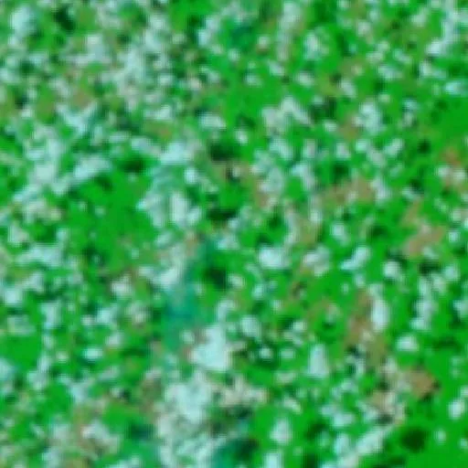 Incendio cerca de Marcelândia (21 sep) — NASA satellite