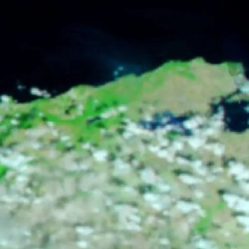 Wildfire near Mateur — NASA satellite