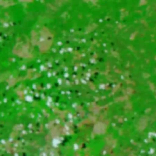 Wildfire near Matões — NASA satellite
