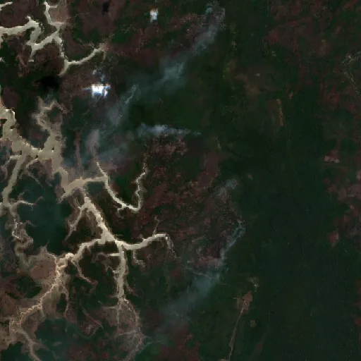 Incendio cerca de Maués (7 oct) — Sentinel-2 true color