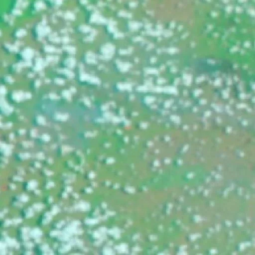 Wildfire near Menggala — NASA satellite